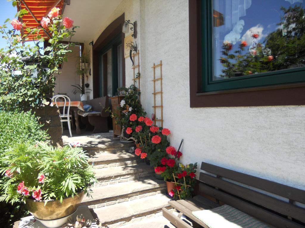 Ferienwohnung Gerti Kalt Lieserhofen المظهر الخارجي الصورة